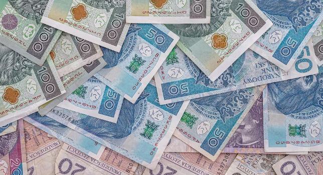 Как выводить деньги со Spółka z o.o.